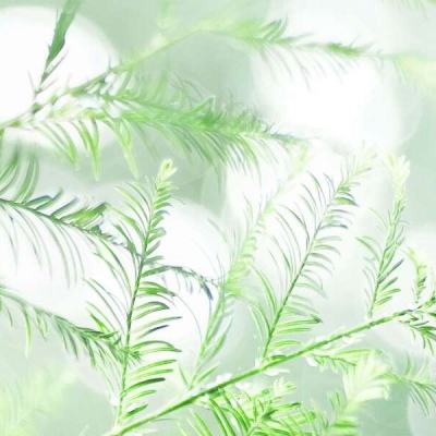 星海霸业九游版下载